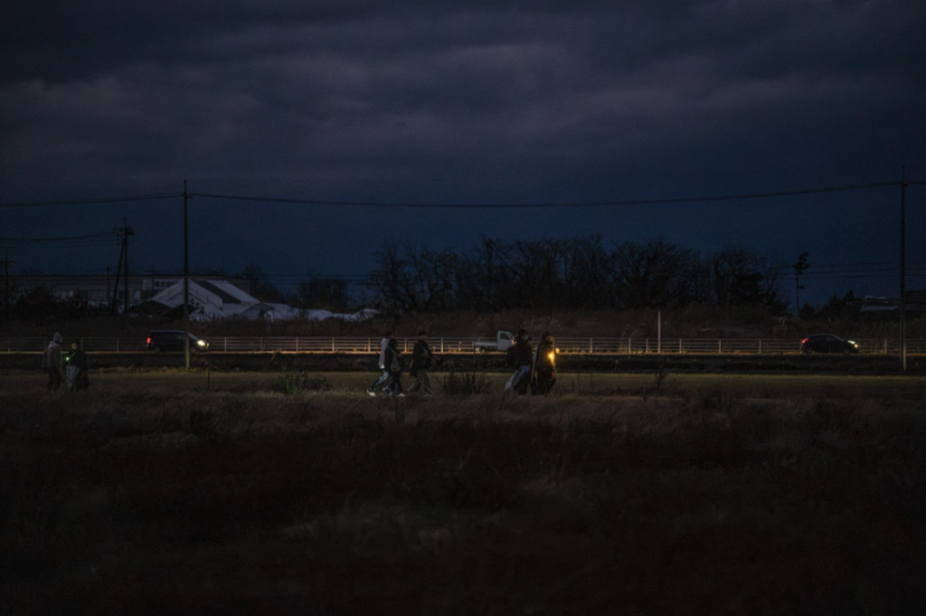 ナイトウォーク＆ワークショップ